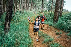 BIB: 
                            <button type="button" onclick="openModal(25657988)" class="btn btn-primary btn-sm float-right btn-popup" data-toggle="modal" data-target=".modal-high-quality">
                        <i class="fas fa-shopping-cart"></i> Add to Cart
                    </button>
                                            <button type="button" onclick="isThisMe(25657988, true)" class="btn btn-success btn-sm float-right btn-popup btn-isme hidden" data-toggle="tooltip" data-placement="bottom" title="นี่คือรูปของคุณใช่ไหม คลิกที่นี่เพื่อเอาเข้าอัลบั้ม">
                        <i class="fas fa-plus"></i> Add to album
                    </button>
                    <button type="button" onclick="isThisMe(25657988, false)" class="btn btn-warning btn-sm float-right btn-popup btn-isnotme hidden">
                        <i class="fas fa-ban"></i> Remove from album
                    </button>